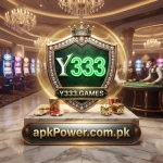 Y333 Game