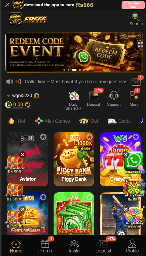 ER666 Game