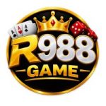 R988 Game
